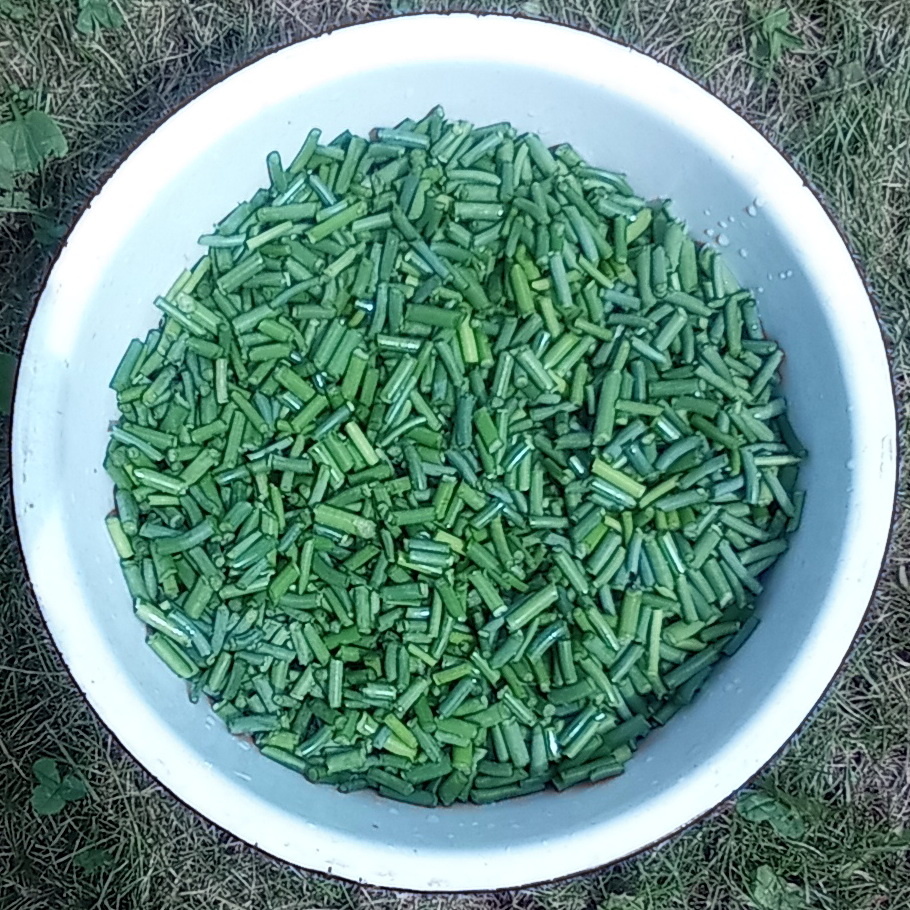 Порезанные стрелки чеснока