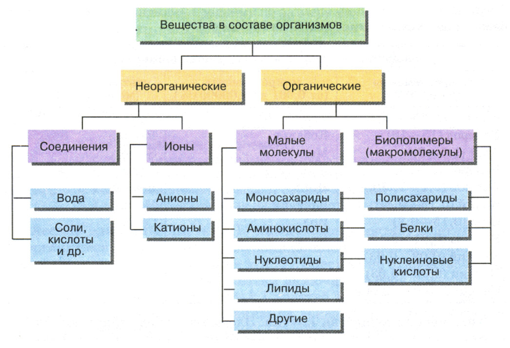 Вода и ее химические свойства | Статья в журнале «Юный ученый»