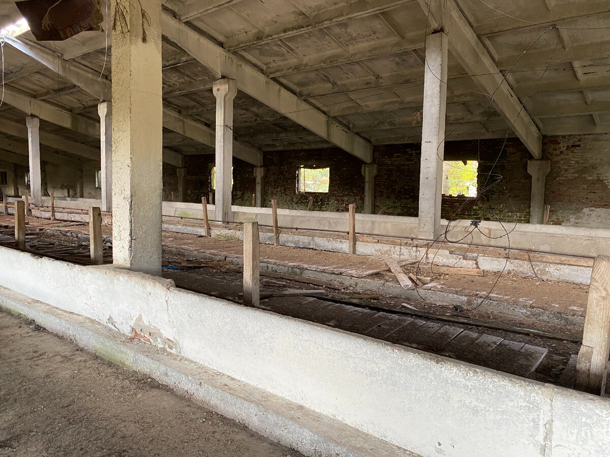 Чернобыльская зона