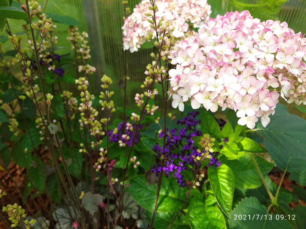 Хороша, красотка!!!