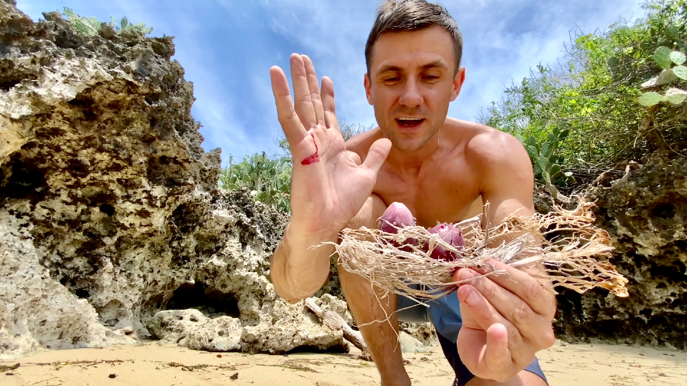 Виталик игнатюк. Лови краба. Остров выживших. Лангуст и омар. Остров акул.