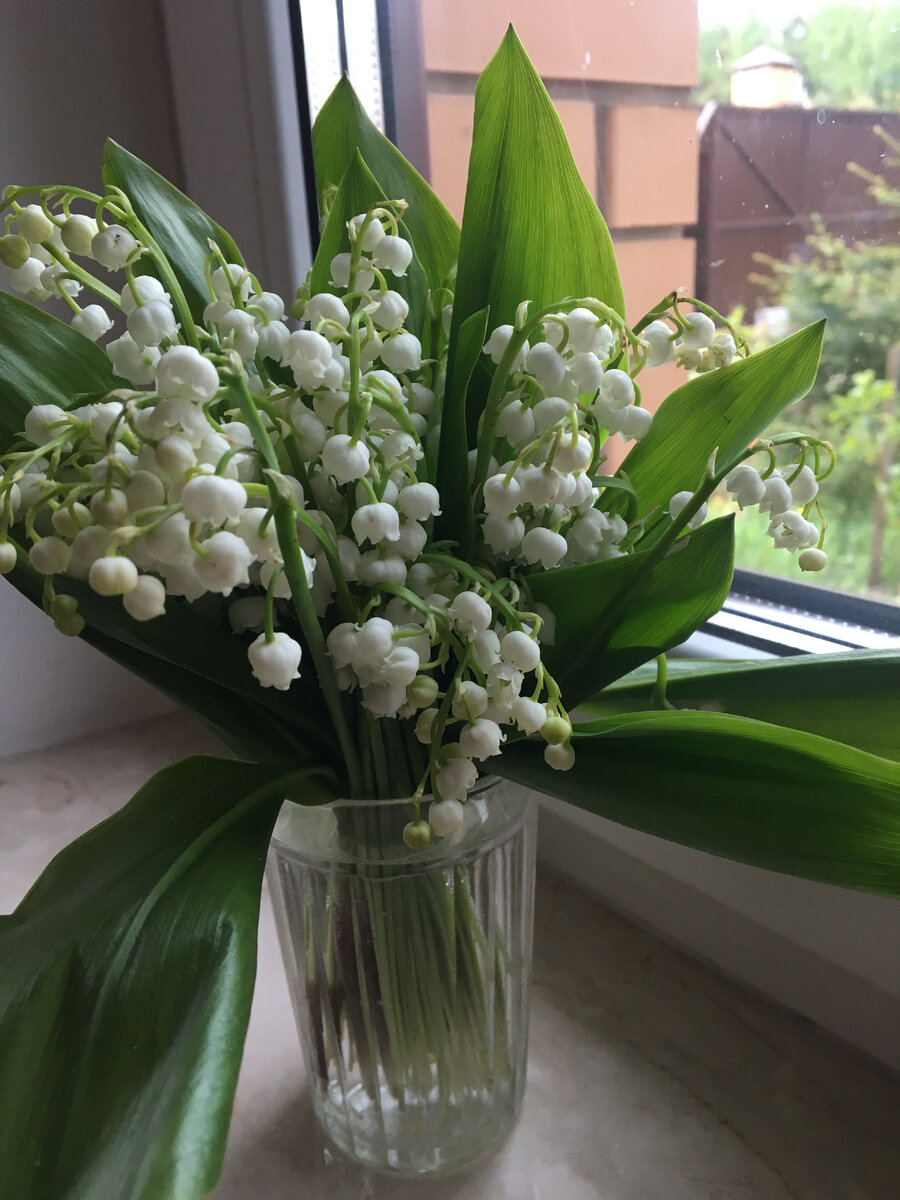 Фото из личного архива автора