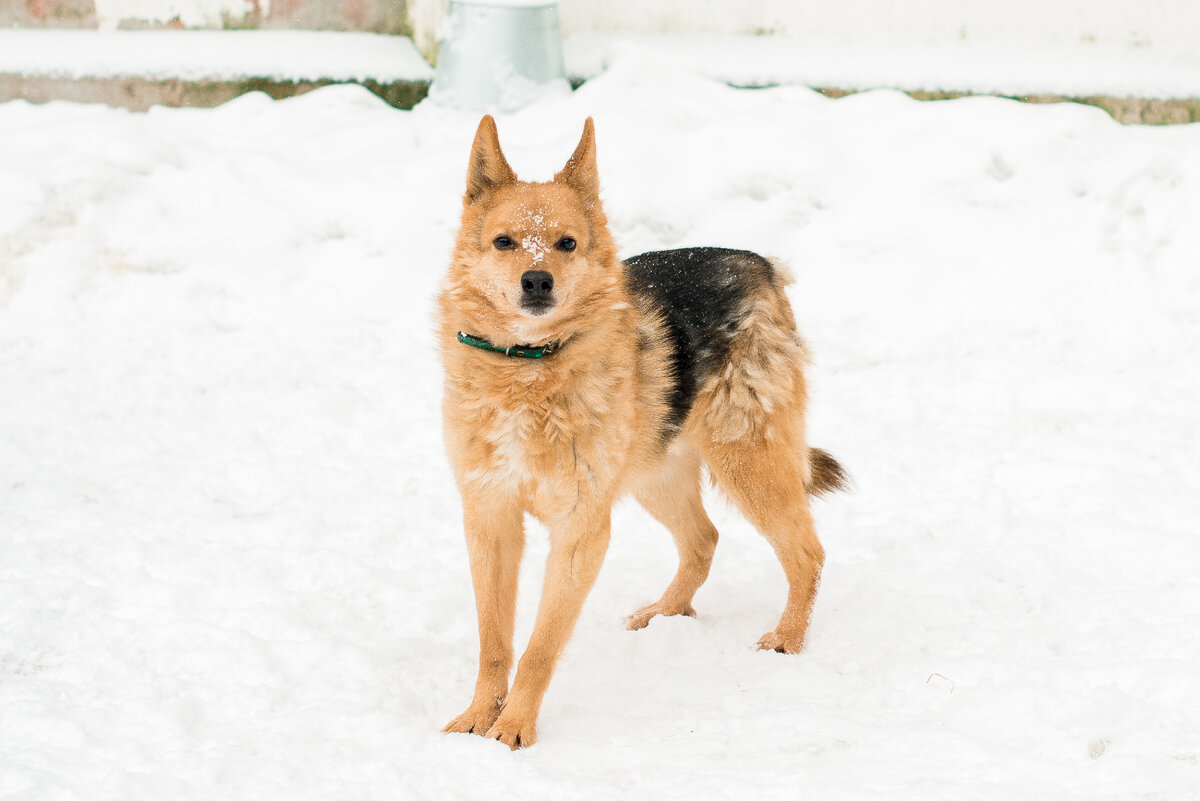 — Расскажи про свою жизнь. — Моя жизнь — это гонка.
— Гонка?
— Да.
— Гонка в которой участвую я один