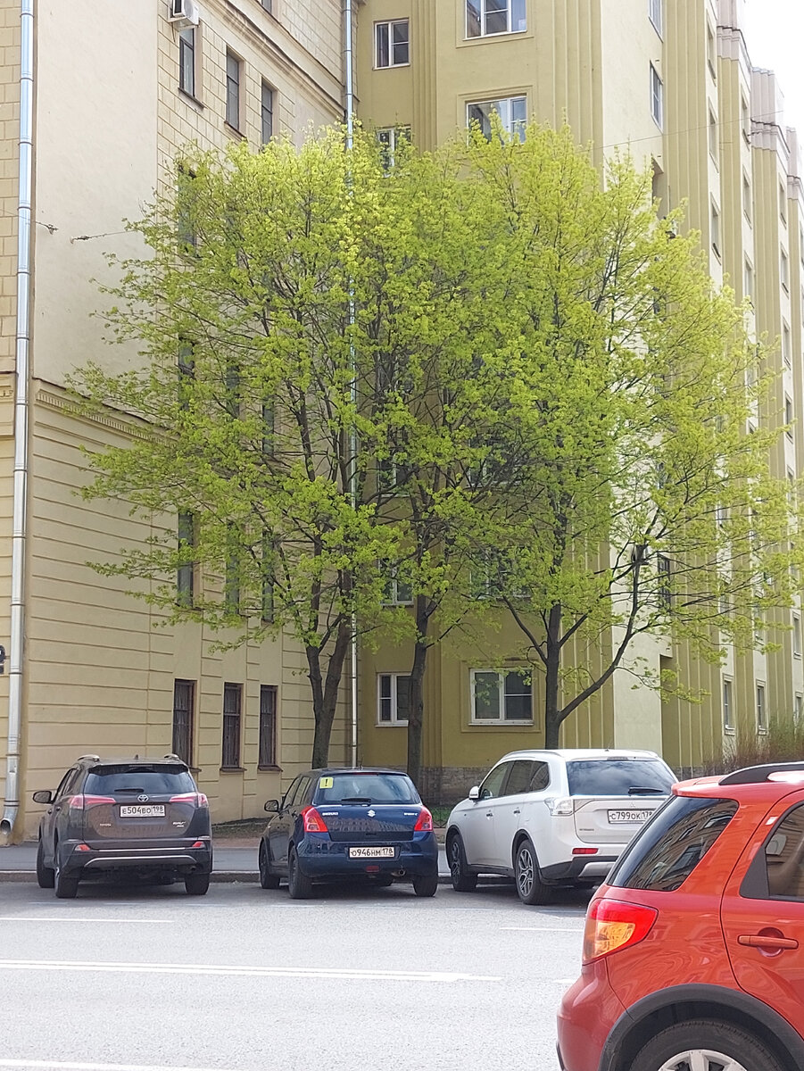 Утро