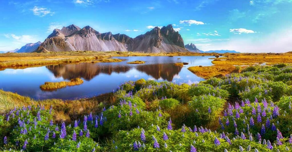 Красота, гармония, равновесие: Весы разных лет рождения