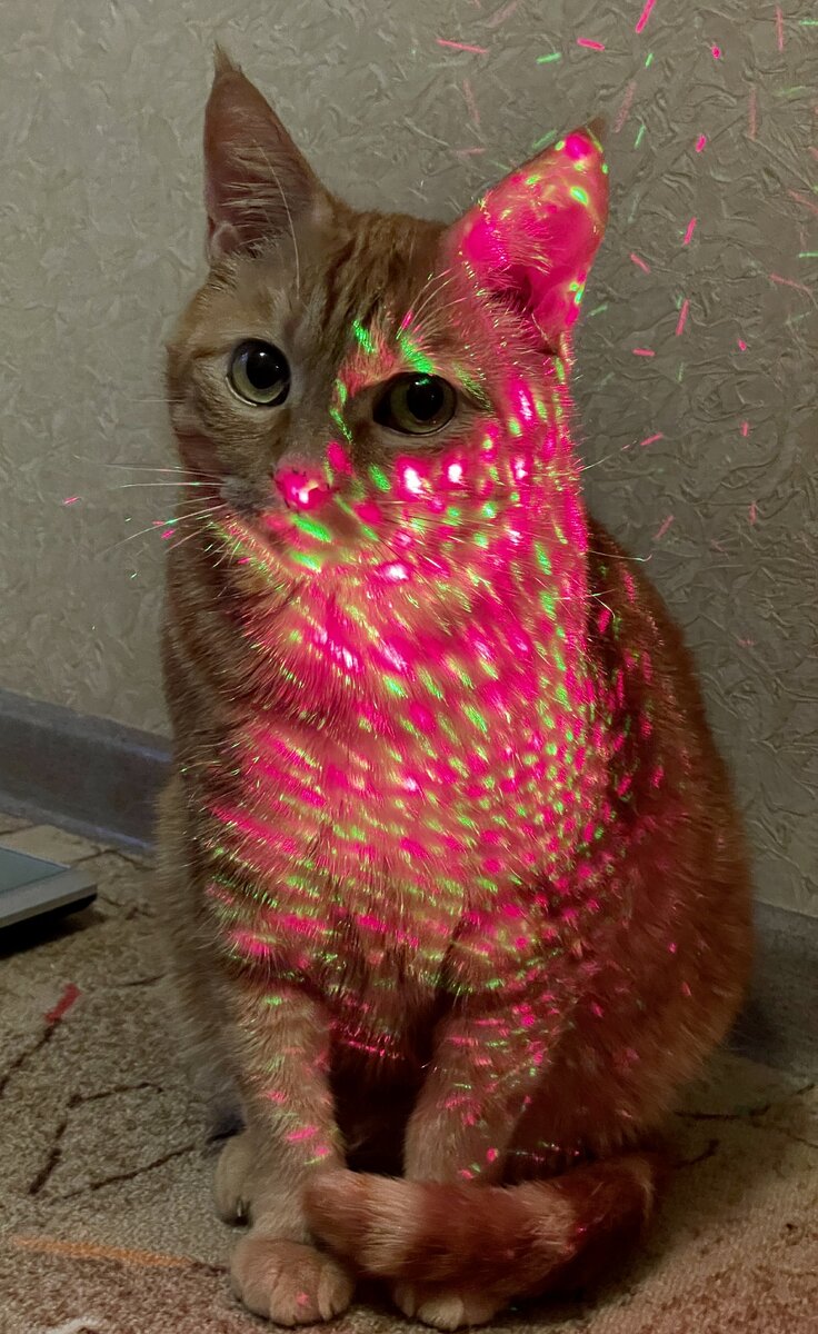 Какие эмоции вызывает данное фото? Искусство цвета и света в одной форме 