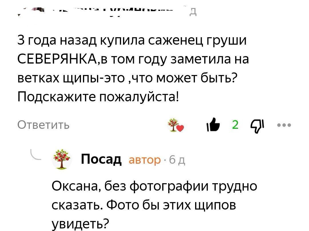 Разрешения у читательницы на публикацию не спрашивала, поэтому затёрла фотографию и имя. Извините.