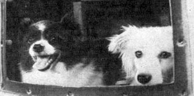 Фото из свободных источников