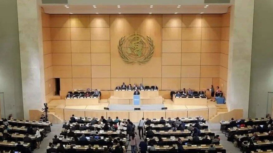 яндекс картинки