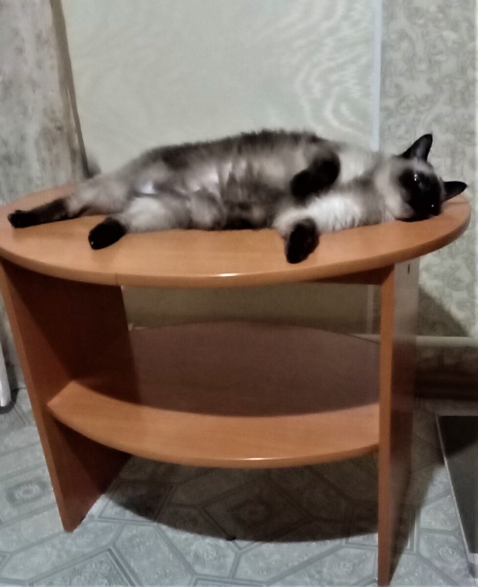 Вторая полка в плацкарте. Фото автора канала.