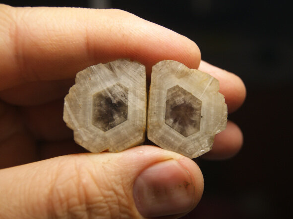 Росли в динамичных условиях, от туда столько различных зон роста.