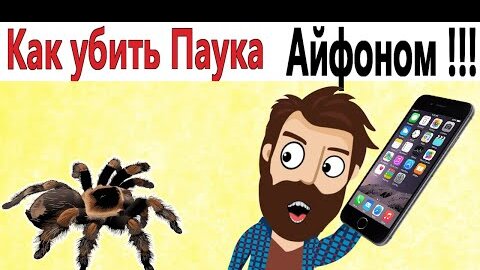 ПРИКОЛЫ! КАК УБИТЬ ПАУКА АЙФОНОМ!!! Угарные ШКОЛЬНЫЕ МЕМЫ, смешные истории от Доми шоу