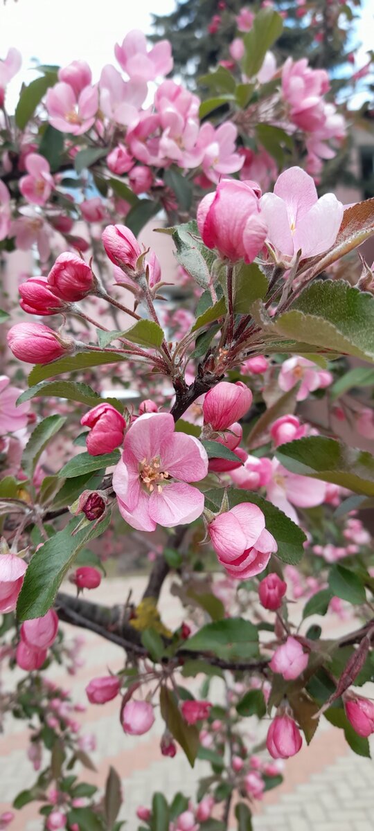 Фото для обложки из архива