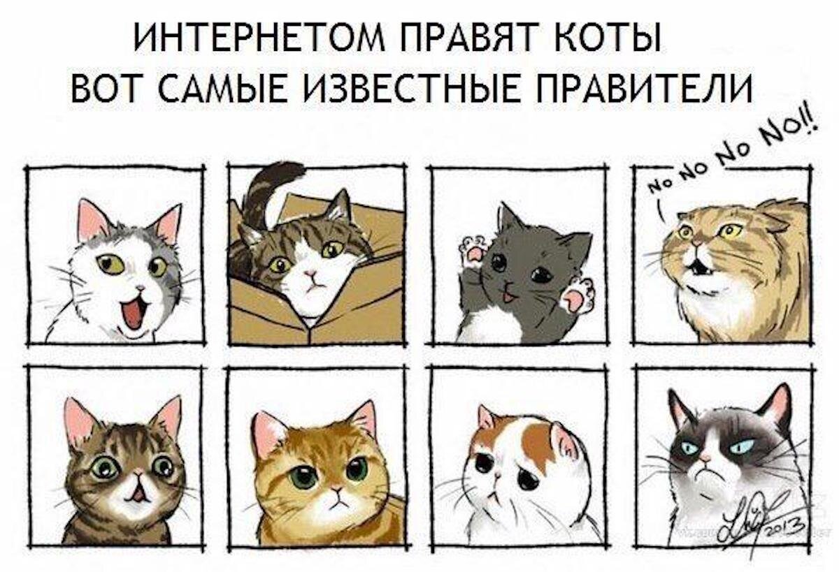 Мемы с котами рисунок