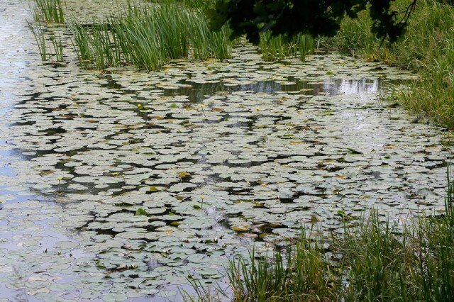   Фото из архива Калининград.Ru