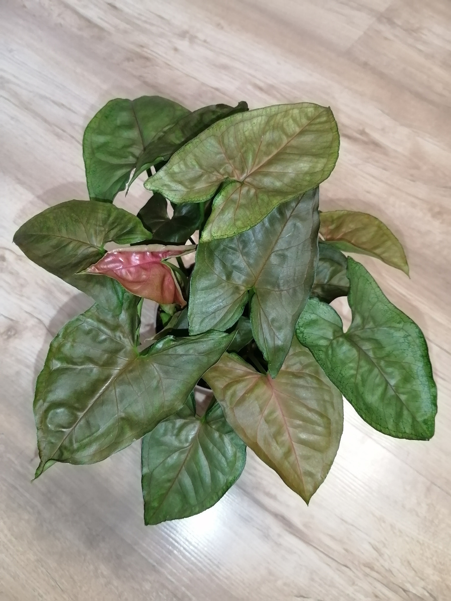 Сентябрь 2022