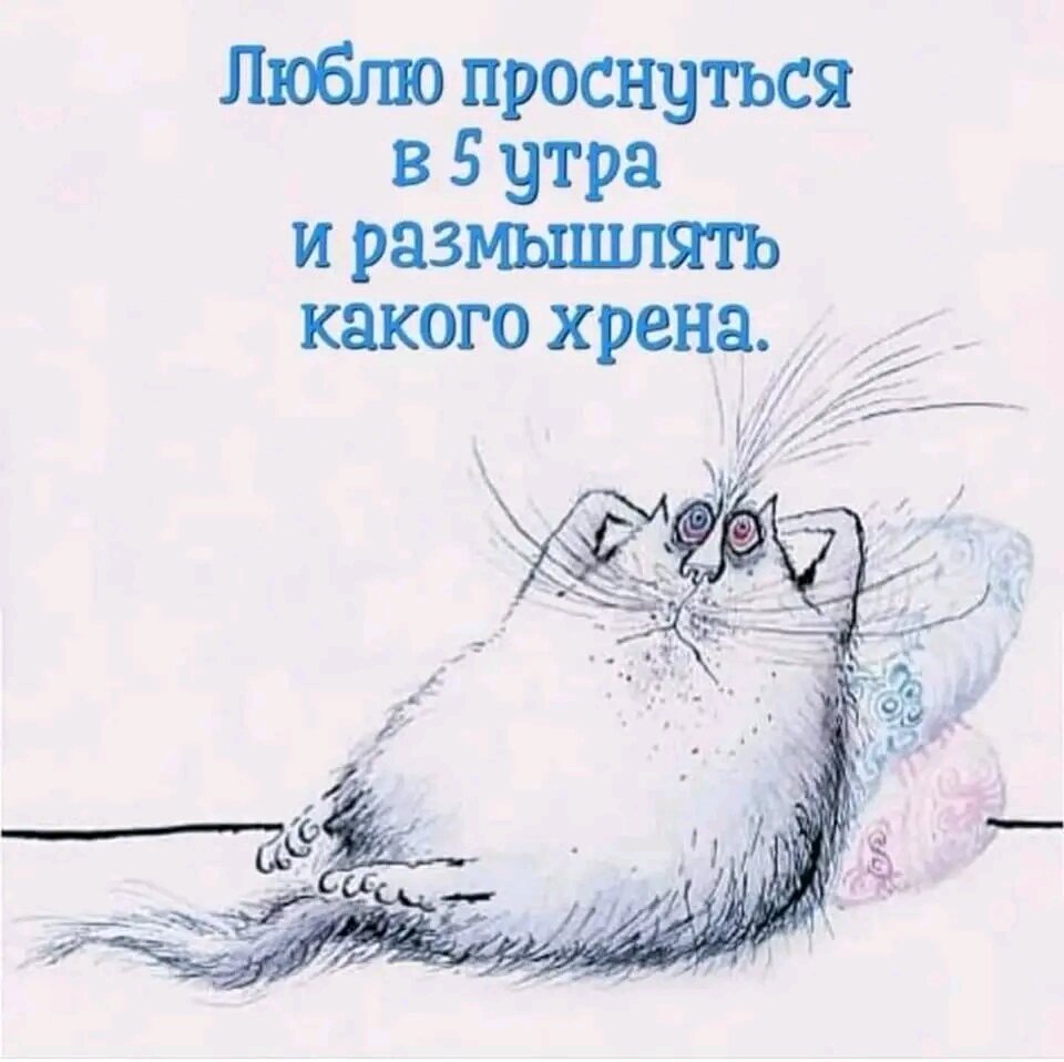 Размышлять какое время. Люблю проснуться в пять утра и размышлять. Проснуться в 5 утра и размышлять какого. Люблю проснуться в пять утра и размышлять какого хрена. Люблю проснуться в пять утра картинки.