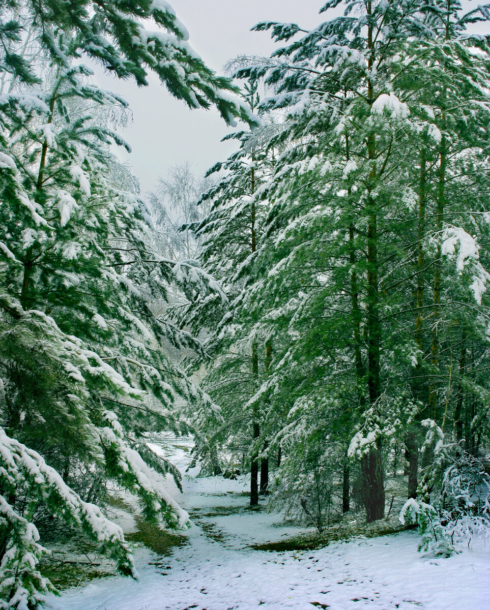 Фотография, стихотворение Василия Глуцкого
