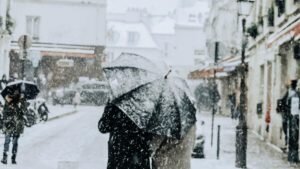   Фото: Celine Ylmz / unsplash.com Константин Бухтатов