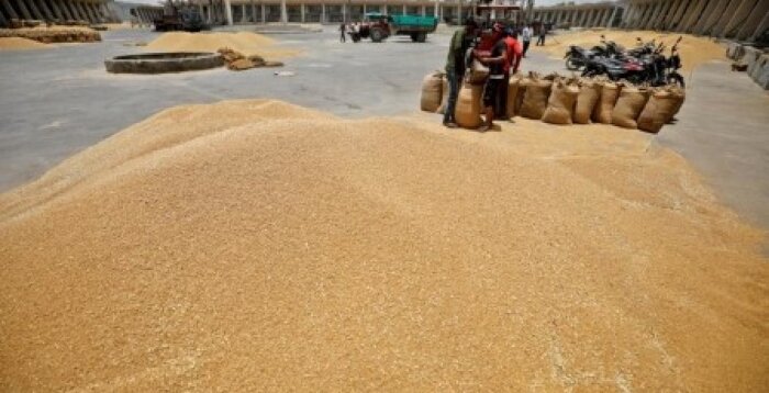 В 2023 году в Индии ожидается небывалый урожай пшеницы, поскольку высокие внутренние цены и повышенная влажность почвы помогают фермерам превзойти прошлогодние посевы, а сильная жара сократила...