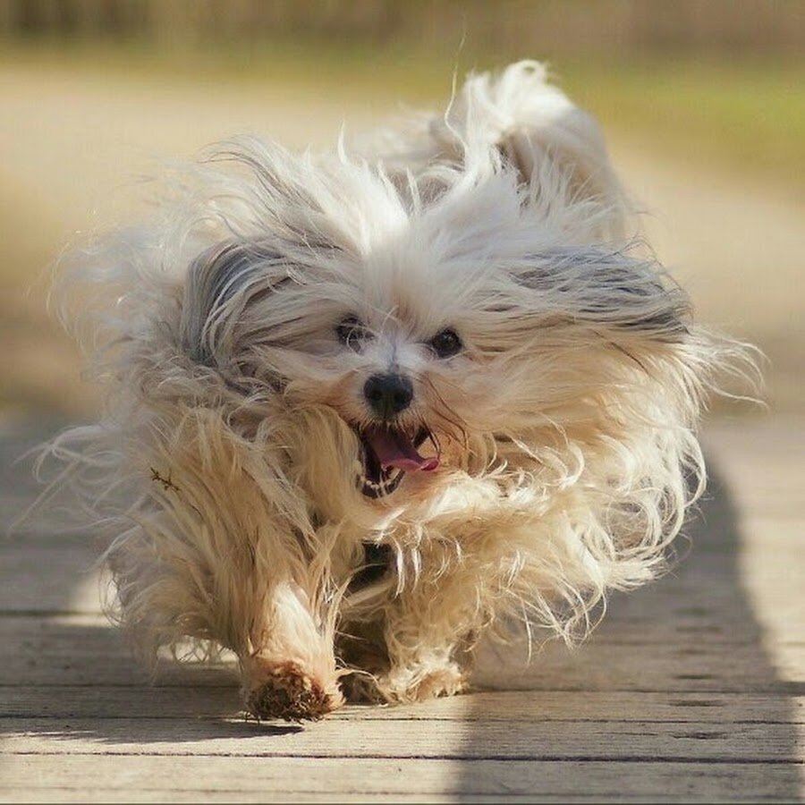 фото Nubar Ekberzade