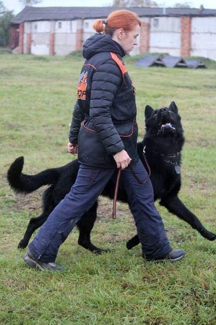 Фотоархив автора