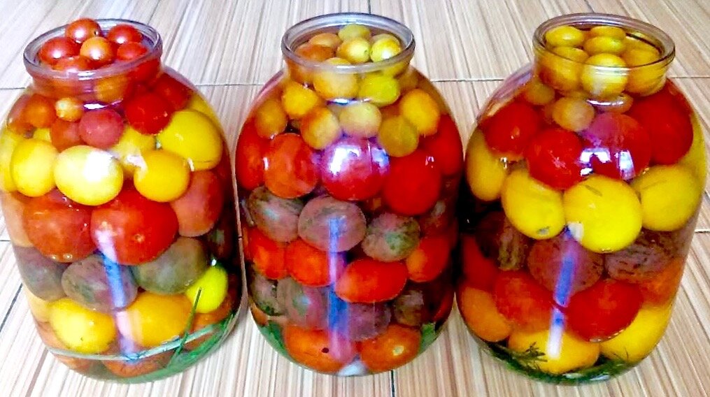 Квашеные помидоры разноцветные.