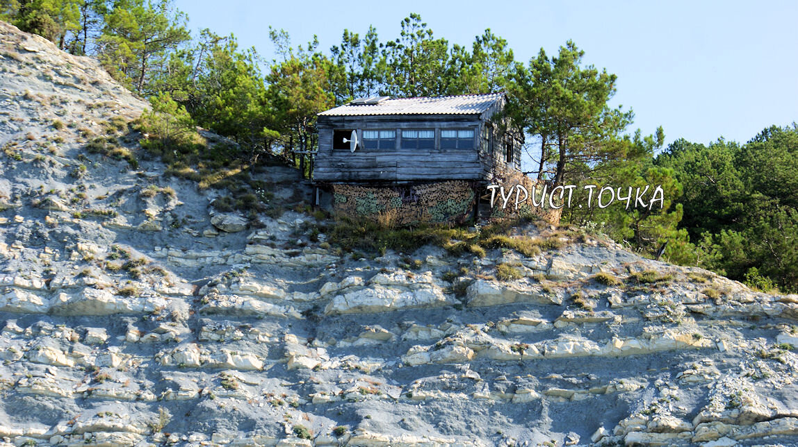 Это магазин!