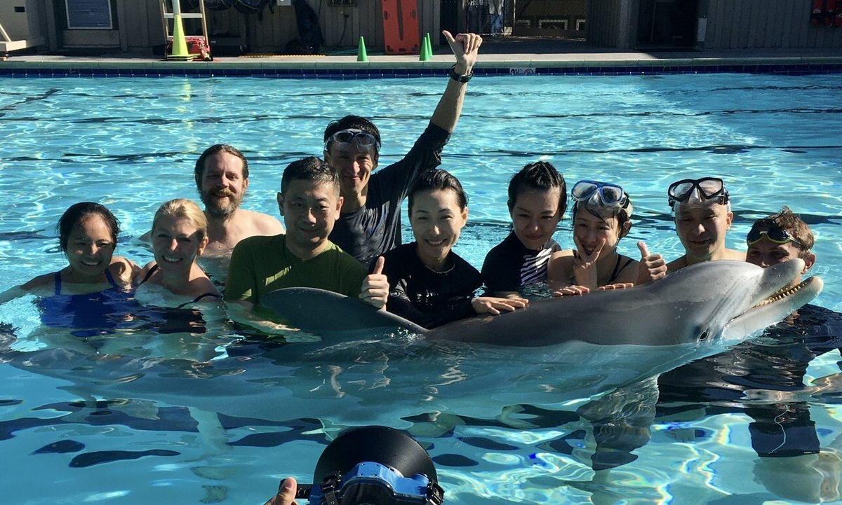 Изображение взято с ресурса "Яндекс.Картинки"