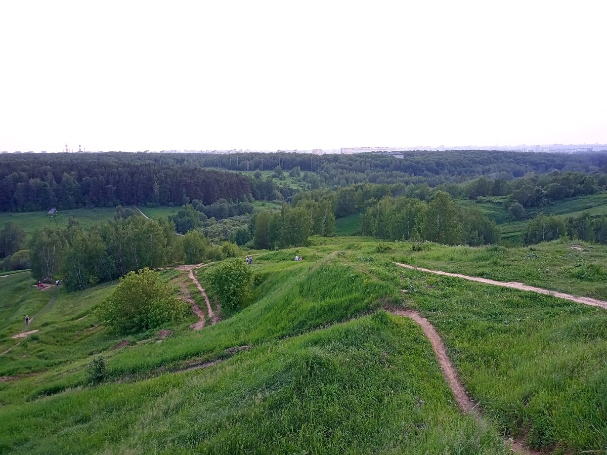 Наш лесопарк. 