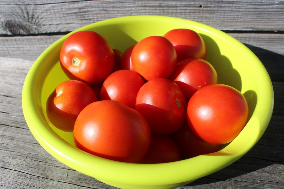 крепкие и красивые помидоры