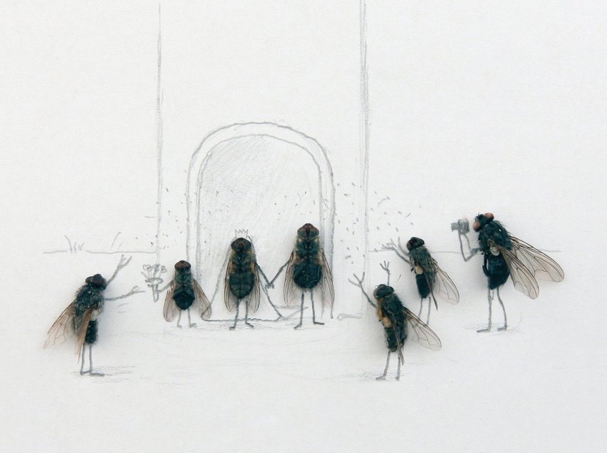 Изображение с сайта vopros-ik.ru/blog для иллюстрации статьи