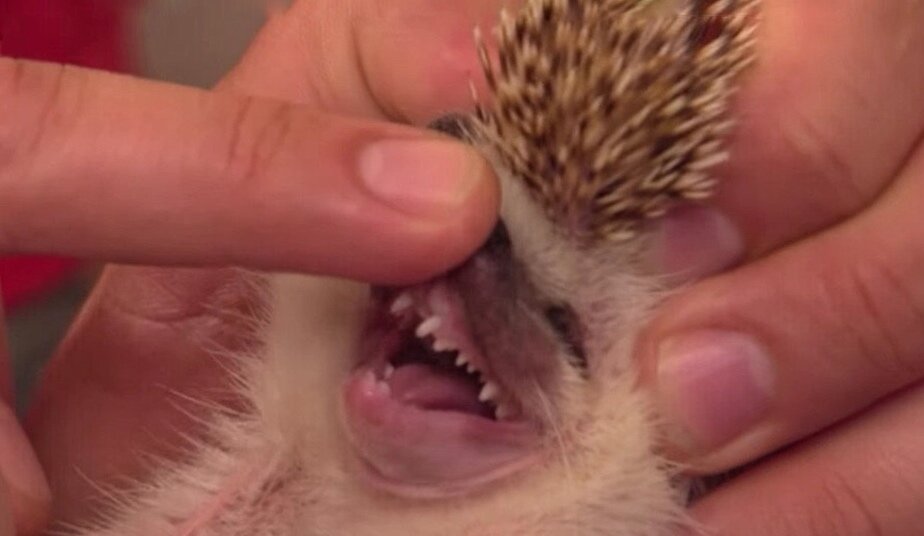 «Подумай, пока не поздно.»