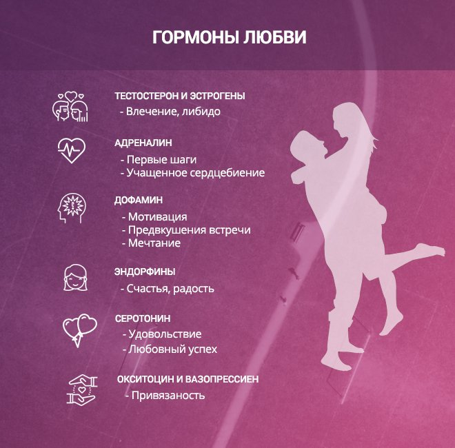 Гормоны, которые "отвечают" за любовь