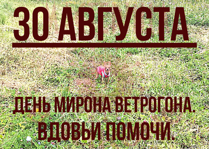 Народный календарь. Вдовьи помочи.