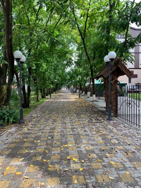 Ореховая аллея в Белокурихе