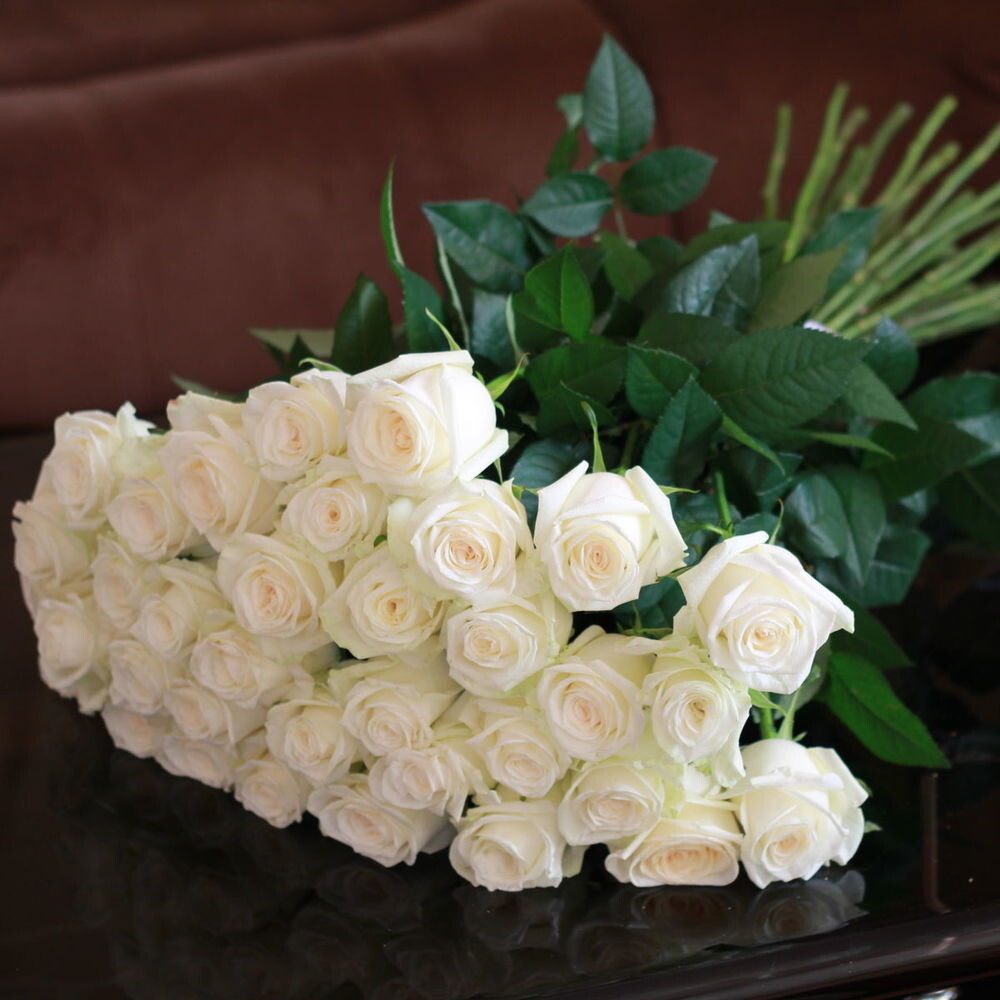 Картинка взята из интернета