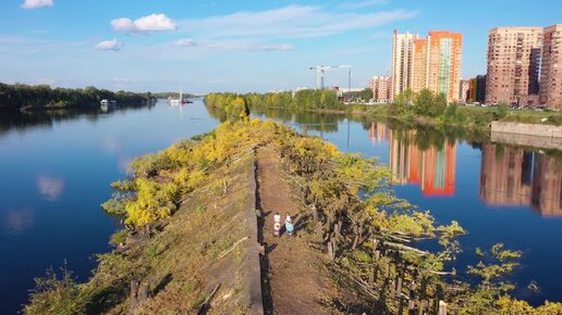 Миллионному городу - миллион пеньков