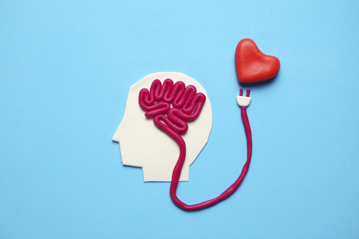 Источник: Andrii Zastrozhnov / istockphoto.com