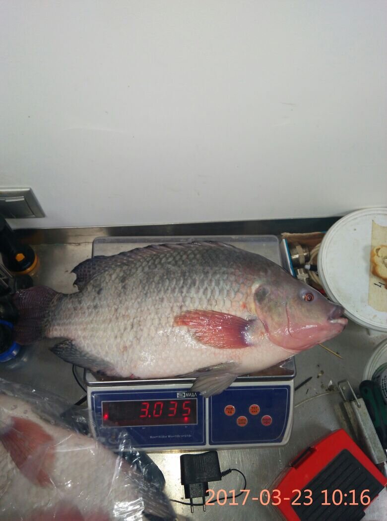 Фото из личного архива.