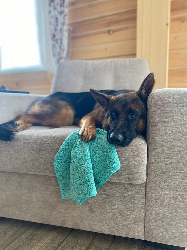 фото взято из ЯндексКартинки