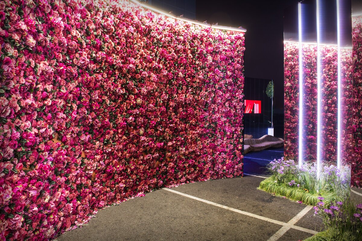 Зеленоград, День города 2018