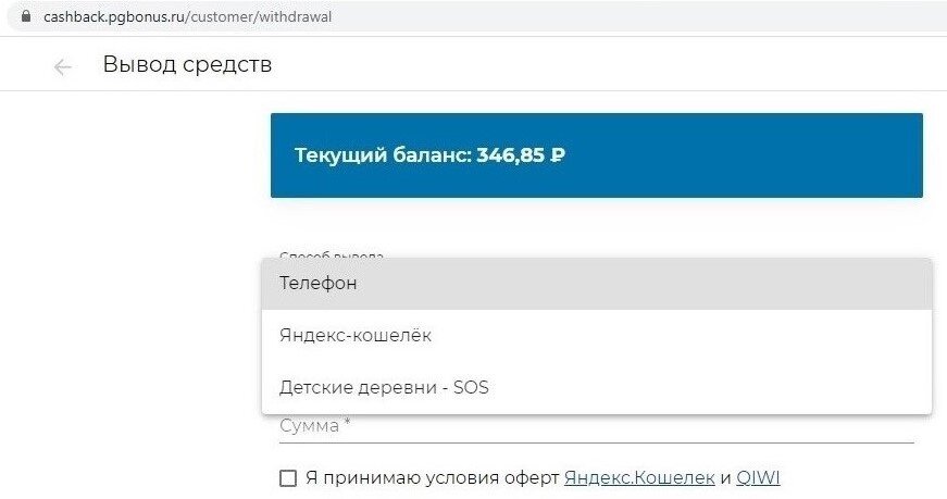 Так выглядит страница ЛС с возможностью вывода средств. 