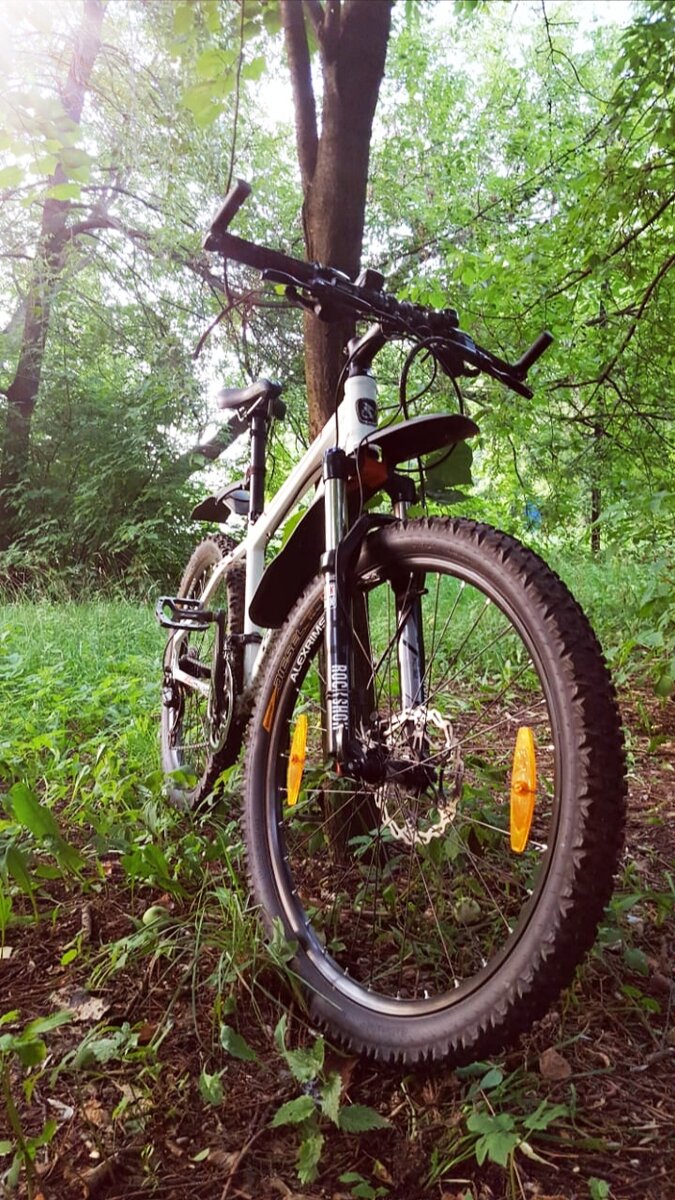 Перед Continental Diesel 2.5, сзади Gravity 2.3.