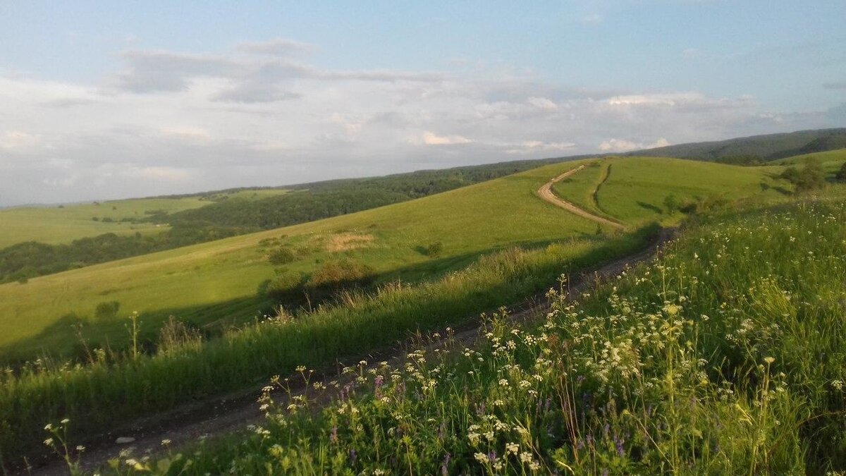 Что такое станица. Станица Костромская Краснодарский край. Предгорье станица Калужская. Поля в станица Костромская Краснодарский край. Предгорье Краснодарского края.