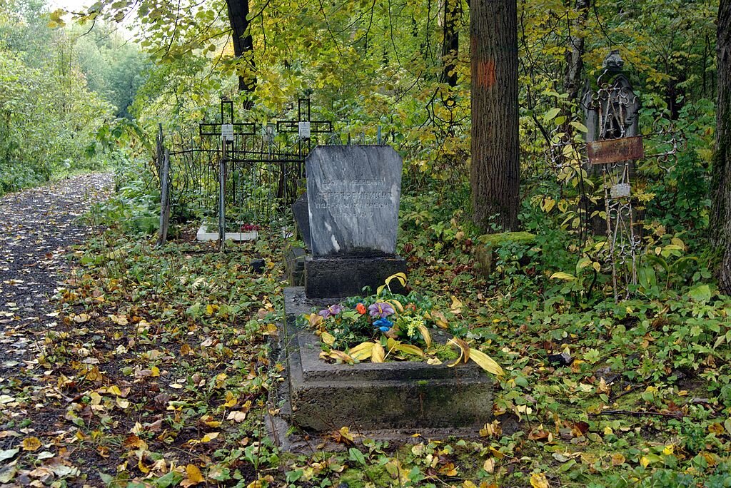 старое кладбище истории. надгробия на лазаревском кладбище. ограды на кладбище. старое кладбище истории. кладбище донского монастыря некрополь.