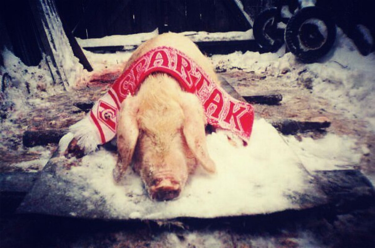 ФК "Спартак"