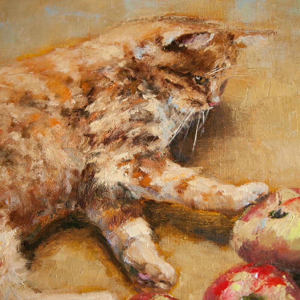 Яндекс картинки