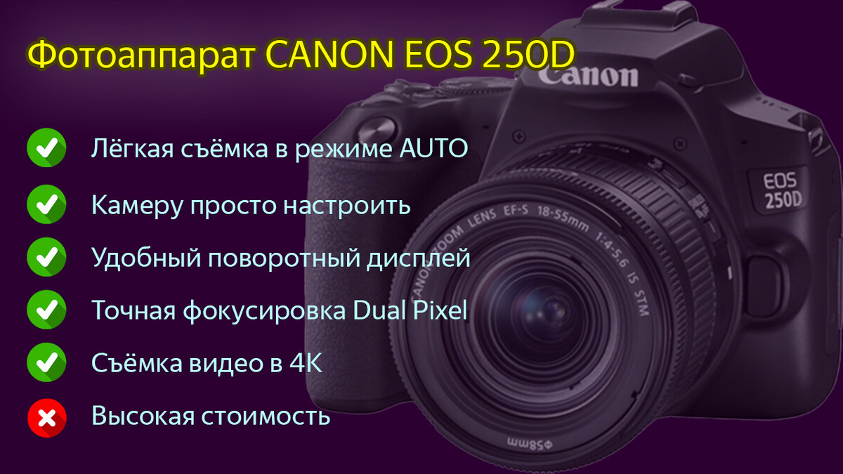 Фотоаппарат Canon EOS 250D – отличный выбор для фотолюбителя в 2020 году,  но дорогой | Блог увлечённого фотографа | Дзен