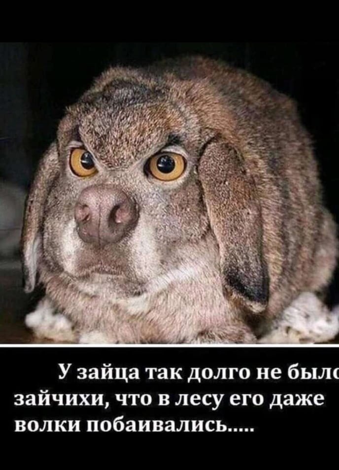 Яндекс картинки 